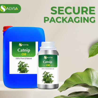 Catnip (Nepeta cataria) Essential Oil 100% Pure & Natural - 250 ml | Aromatherapy