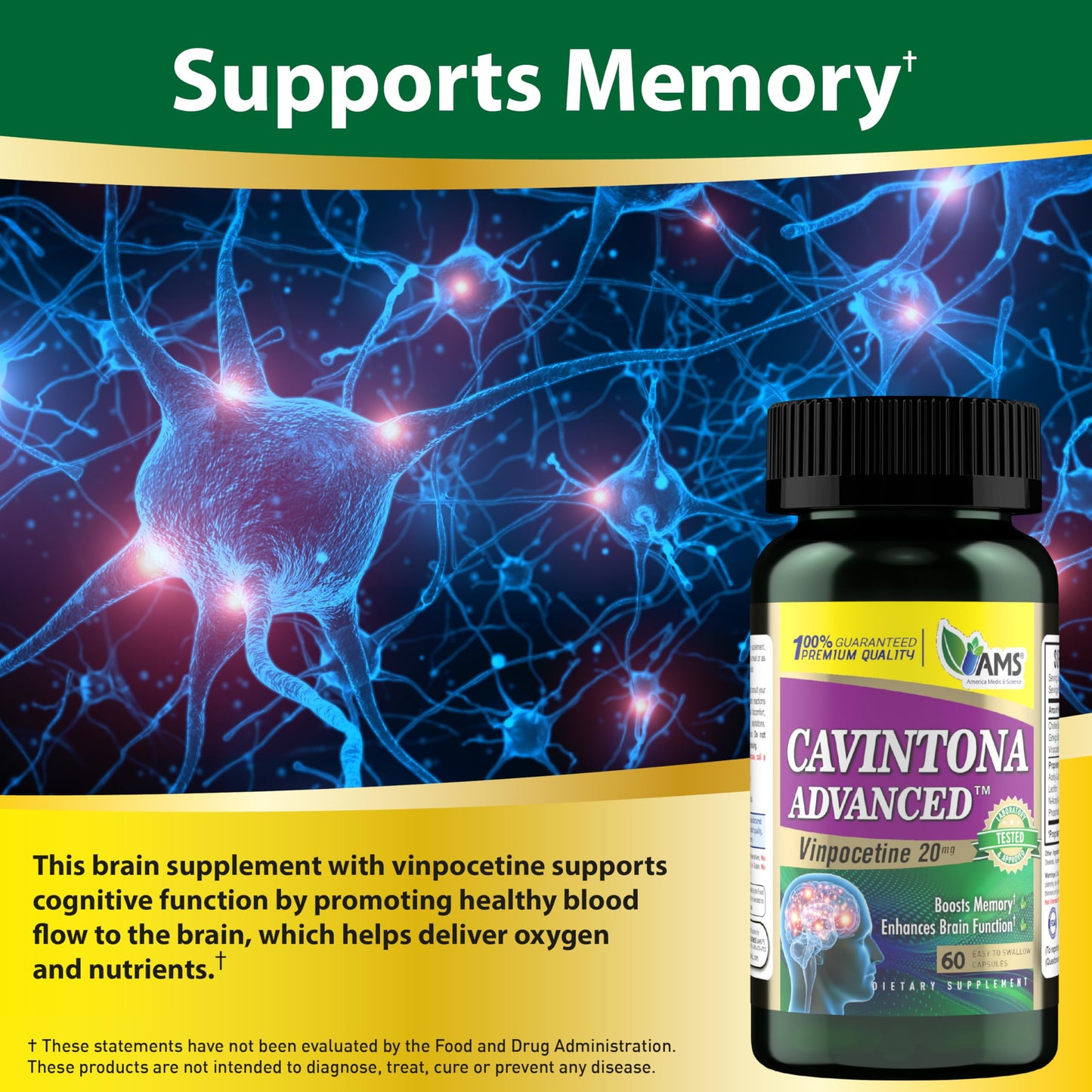 America Medic & Science Cavintona Vinpocetine 20mg – 60 Capsules | Memory, Focus & Brain Health