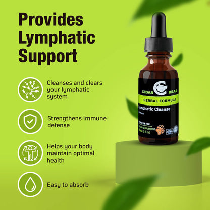 Cedar Bear Lymphatic Cleanse – Immune Support Drops (Alcohol-Free, 2 fl oz)