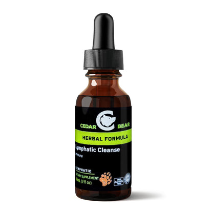 Cedar Bear Lymphatic Cleanse – Immune Support Drops (Alcohol-Free, 2 fl oz)