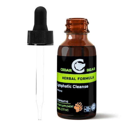 Cedar Bear Lymphatic Cleanse – Immune Support Drops (Alcohol-Free, 2 fl oz)