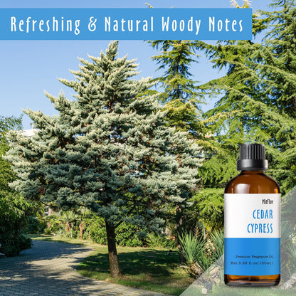 Cedar Cypress Fragrance Oil 100ml – MitFlor Premium Diffuser Oil