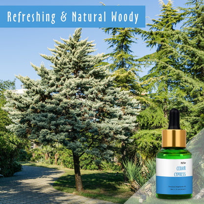 30ml Cedar Cypress Fragrance Oil | MitFlor Premium Grade Fragrance Essentials Oil for Soap, Candle Making & Diffusers