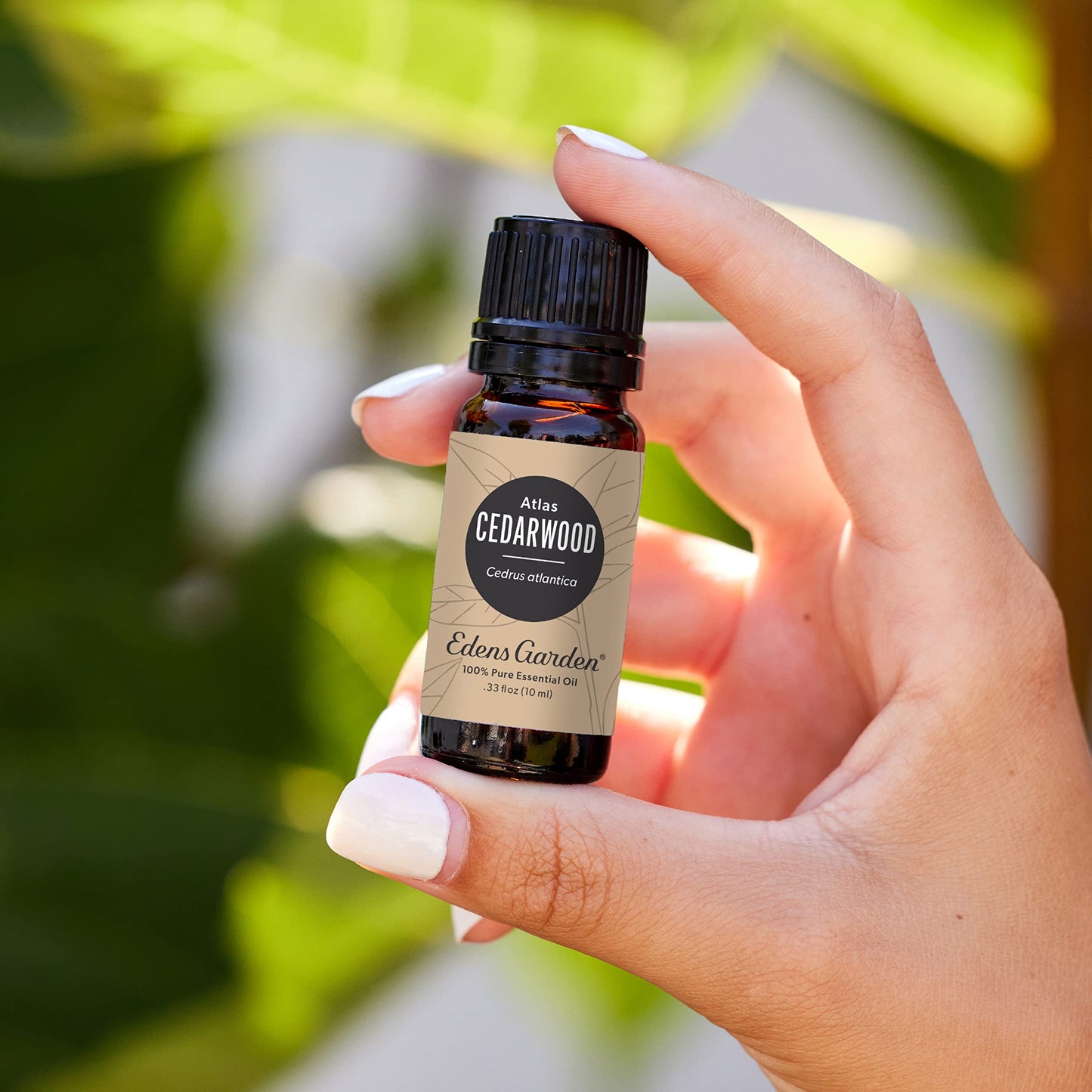 Edens Garden Cedarwood Atlas Essential Oil 30 ml — 100% Pure, Therapeutic Grade