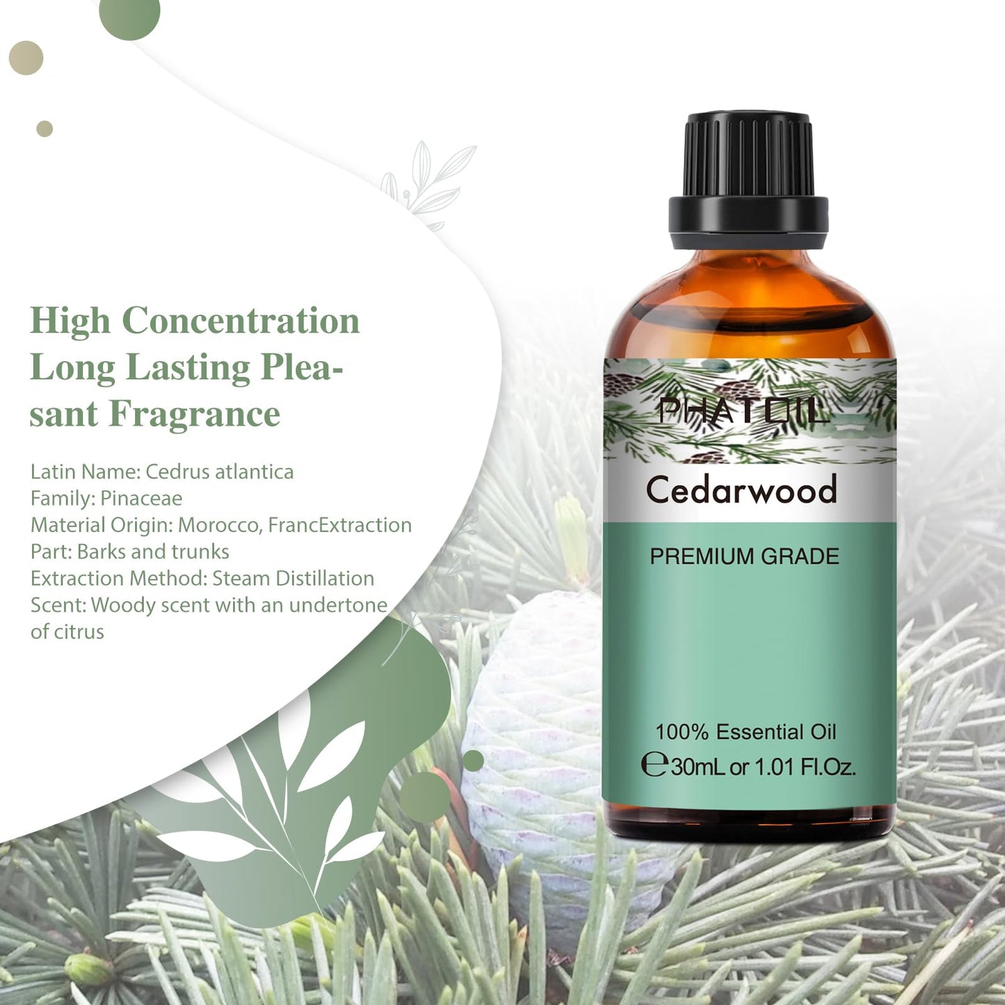 Cedarwood Essential Oil 30ml | PHATOIL Pure Essential Oil Singles for Aromatherapy, Diffusers & DIY Crafts