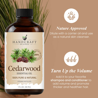 Handcraft Blends Cedarwood Essential Oil – 1 Fl Oz | 100% Pure & Natural