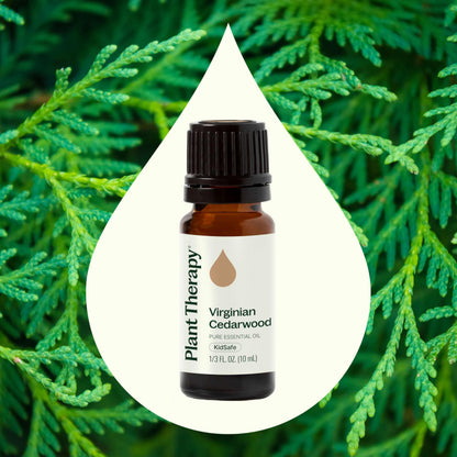 Cedarwood Virginian Essential Oil 10 mL | 100% Pure, Undiluted, Therapeutic Grade – Plant Therapy