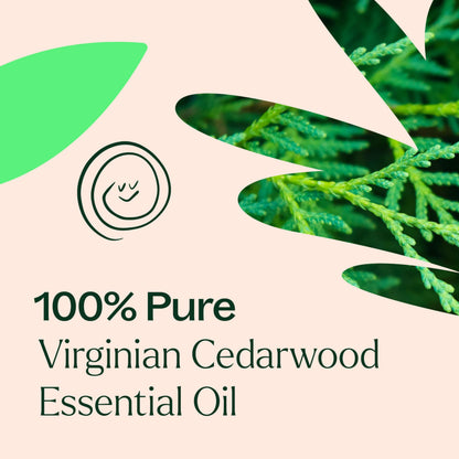 Cedarwood Virginian Essential Oil 10 mL | 100% Pure, Undiluted, Therapeutic Grade – Plant Therapy