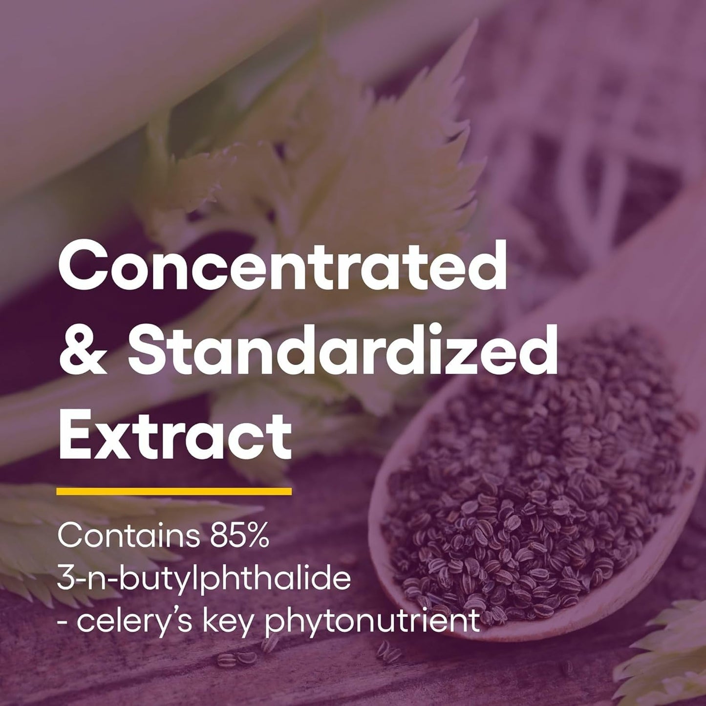 Celery Seed Extract by Natural Factors | 60 Capsules for Healthy Circulation