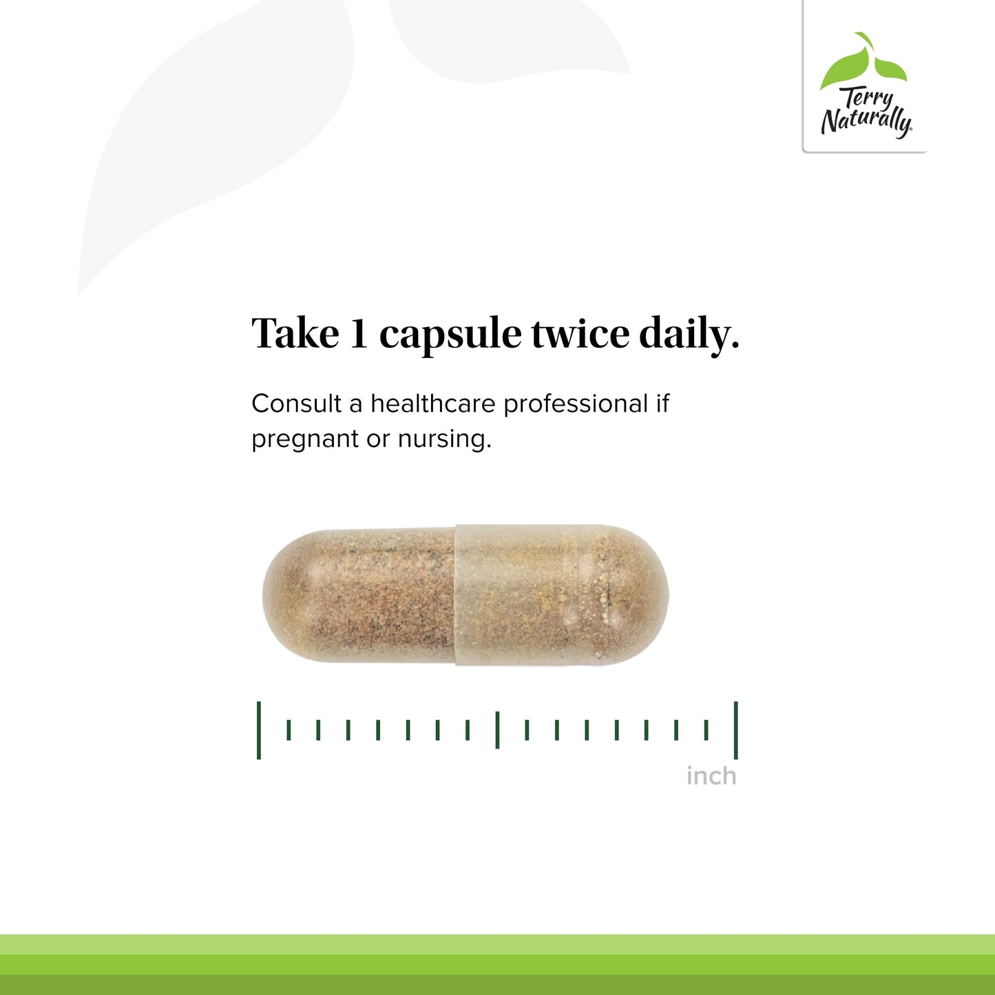 Terry Naturally Healthy Liver – Liver Function Support with Andrographis EP80 & Grape Seed (Gluten-Free, 60 Capsules)