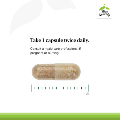 Terry Naturally Healthy Liver – Liver Function Support with Andrographis EP80 & Grape Seed (Gluten-Free, 60 Capsules)