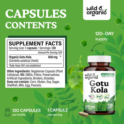 Wild & Organic Gotu Kola Capsules 600 mg – Brain & Focus Support | 120-Count, Vegan, Non-GMO