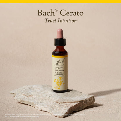 Cerato 20ml – Bach Flower Remedies | Trust Your Inner Wisdom