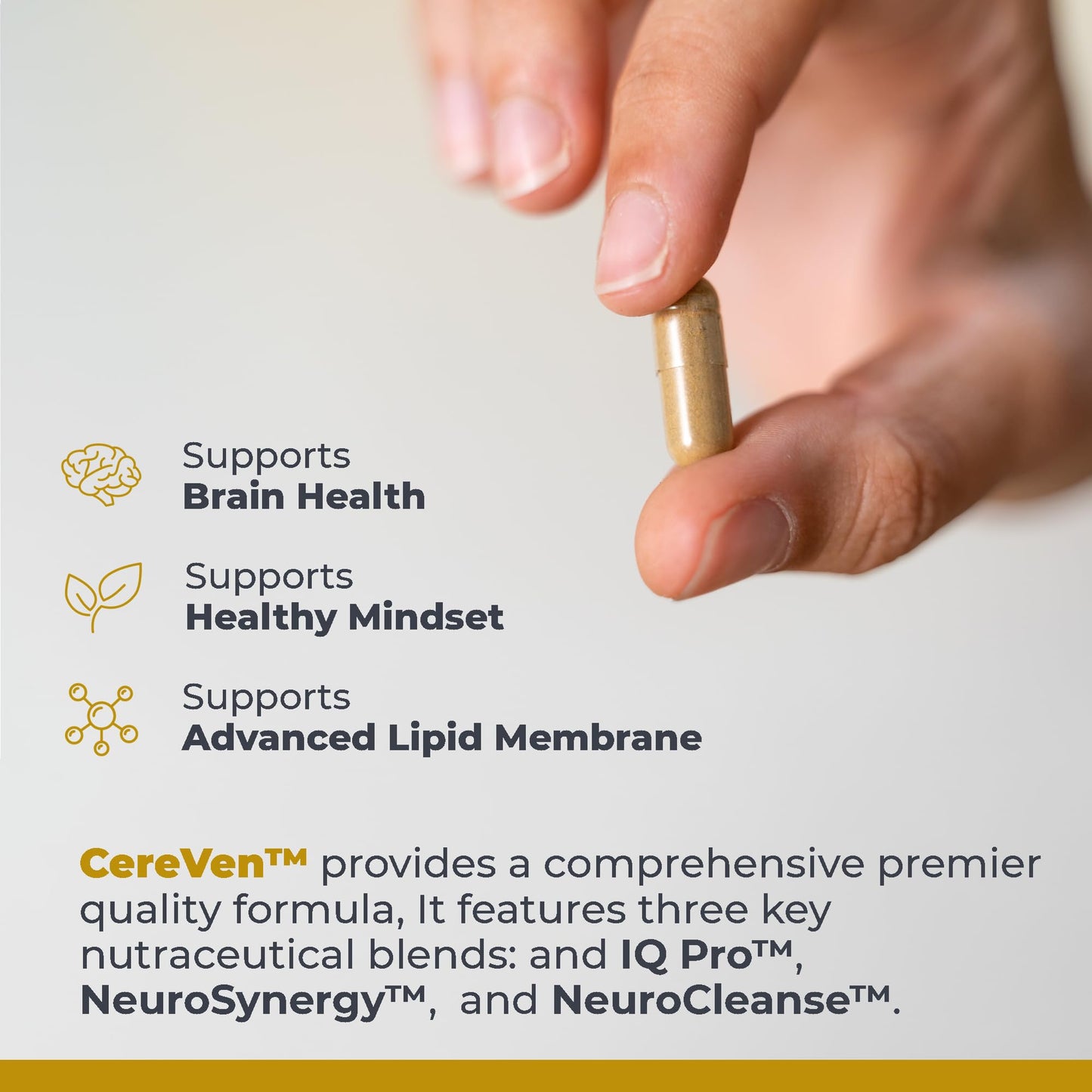 Premier Research Labs CereVen - Herbal Brain Support with Rhodiola Rosea (60 Veg Capsules)