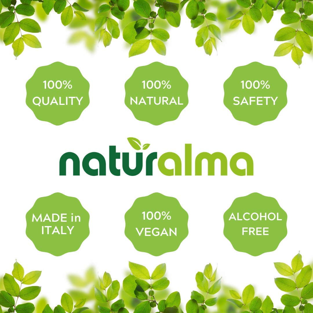 Naturalma Milk Thistle Tincture (Silybum marianum) – Alcohol-Free, 6.76 fl oz, Vegan