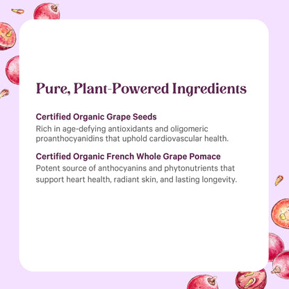 Pure Synergy SuperPure Grape Seed Extract | Organic Grape Seed Polyphenols – Heart Health, Skin & Healthy Aging (60 Capsules)