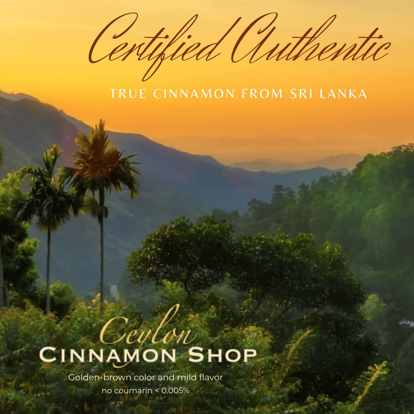 Ceylon Cinnamon Shop – Organic Ceylon Cinnamon Supplement, 90 Capsules