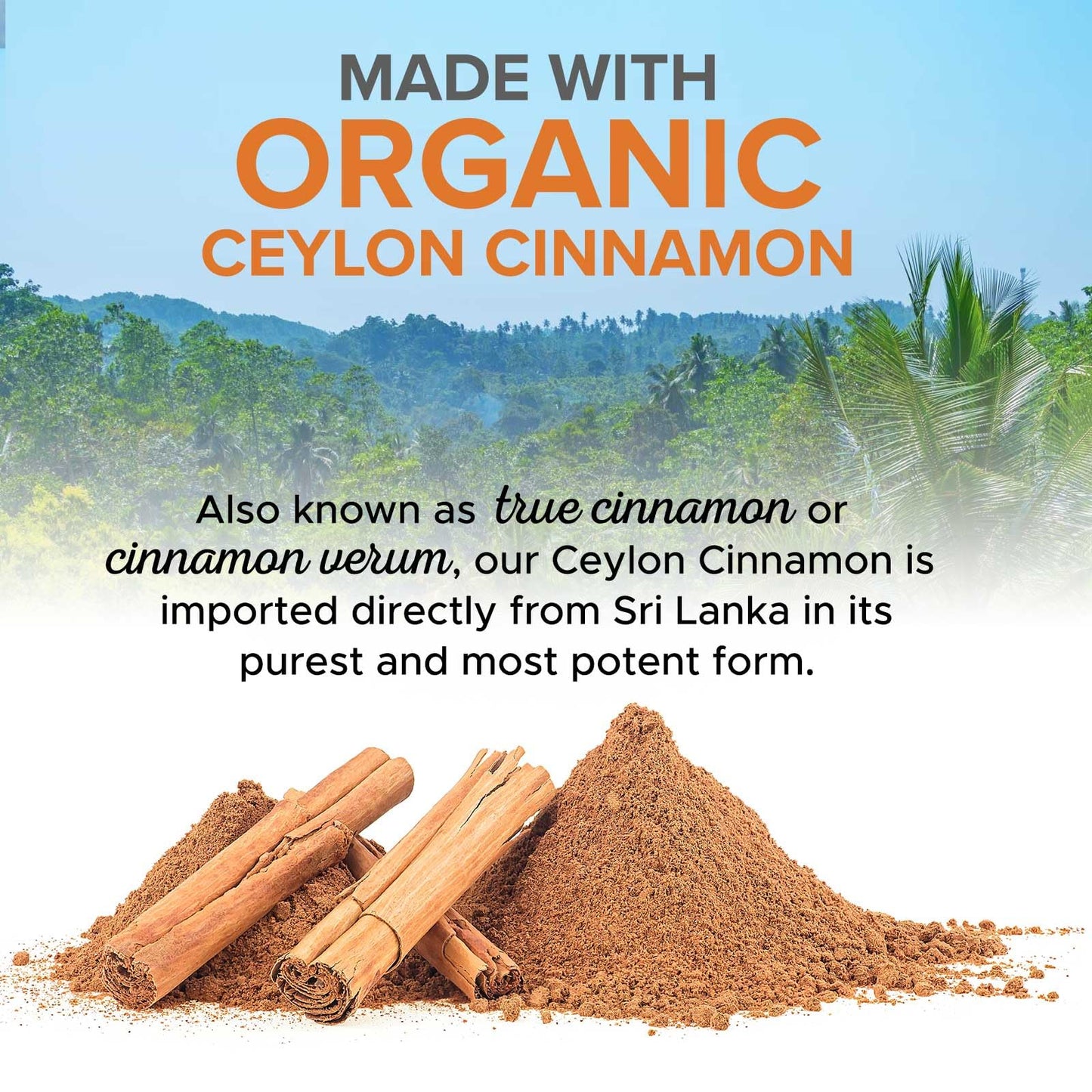 Ceylon Cinnamon Capsules 1800mg - Organic, Non-GMO, Gluten Free | 120 Capsules