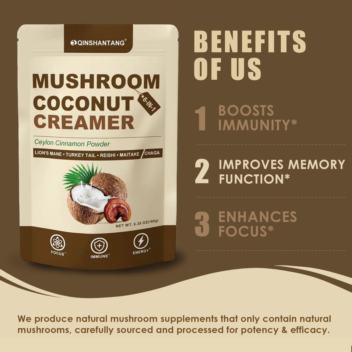 Mushroom Coconut Creamer - 5 Mushrooms & Ceylon Cinnamon | 6.35oz