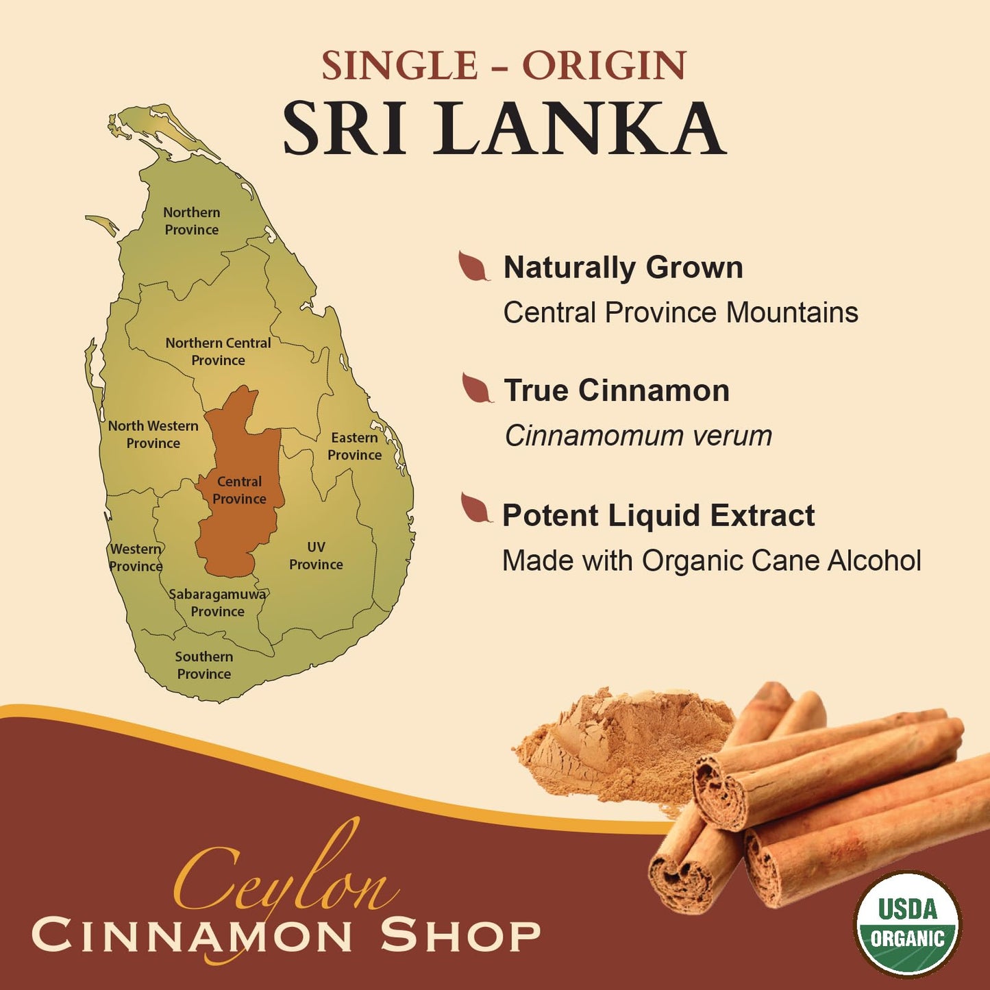 Ceylon Cinnamon Shop CinnaGold™ Organic Ceylon Cinnamon - 4 oz High-Potency Liquid Extract (100% Certified) – Super Antioxidant