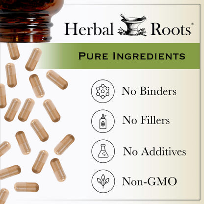 Herbal Roots - Turmeric Curcumin Capsules - Extra Strength - 1000mg Pure Organic Turmeric Supplement, 95% Standardized Curcumin Extract with BioPerine Pepper and Ginger
