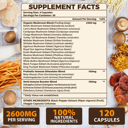 20-in-1 Mushroom Complex for Brain & Focus | Lion's Mane & Reishi
