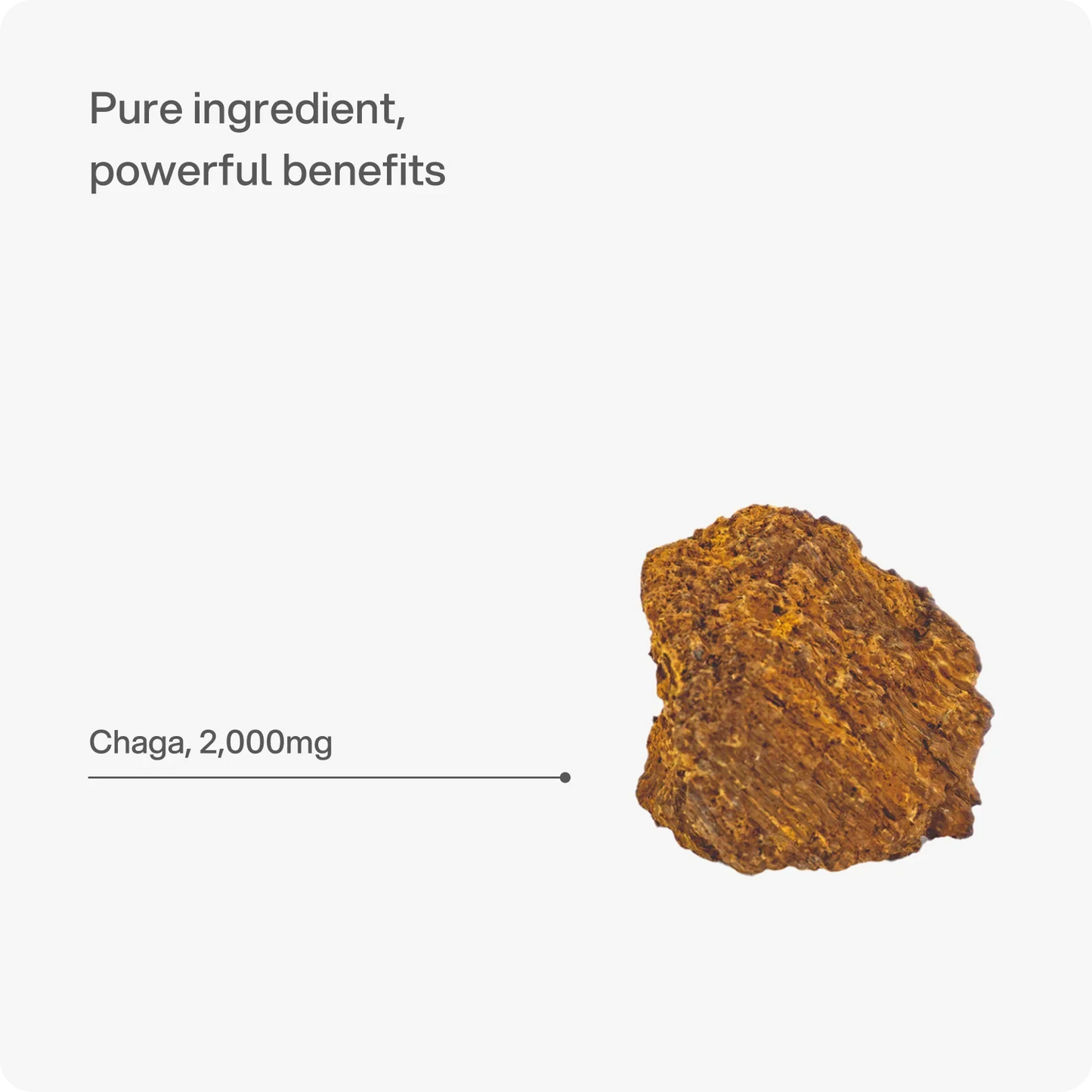Headstrong Chaga Mushroom Capsules