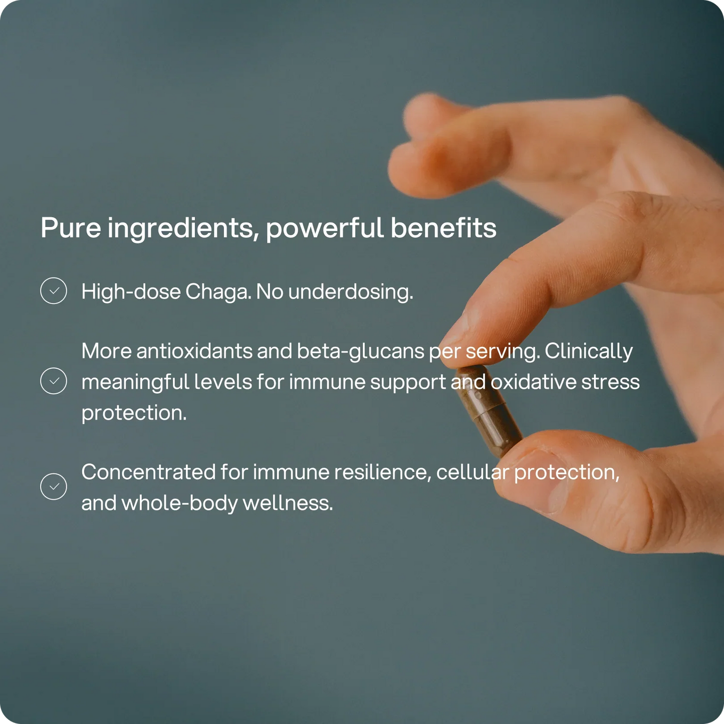 Headstrong Chaga Mushroom Capsules
