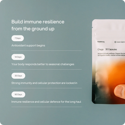 Headstrong Chaga Mushroom Capsules