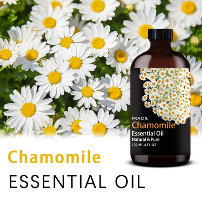 Chamomile Essential Oil 4 oz (120 ml) – Diffuser & DIY | FRAOIL