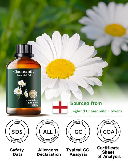 Chamomile Essential Oil Pure – Mumianhua Therapeutic Grade (3.38 oz)