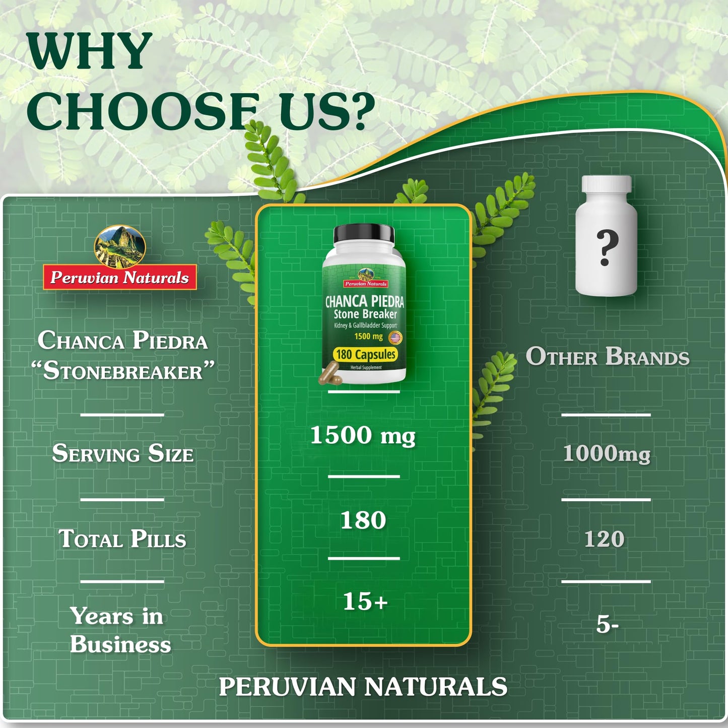Chanca Piedra 360 Capsules – Stone Breaker, Kidney Detox & Gallbladder Support