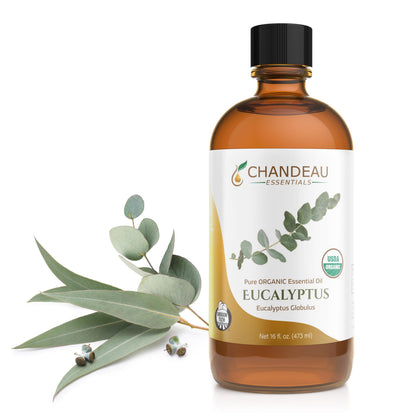 Chandeau Essentials 100% Pure Organic Eucalyptus Essential Oil – 16 oz Amber Bottle