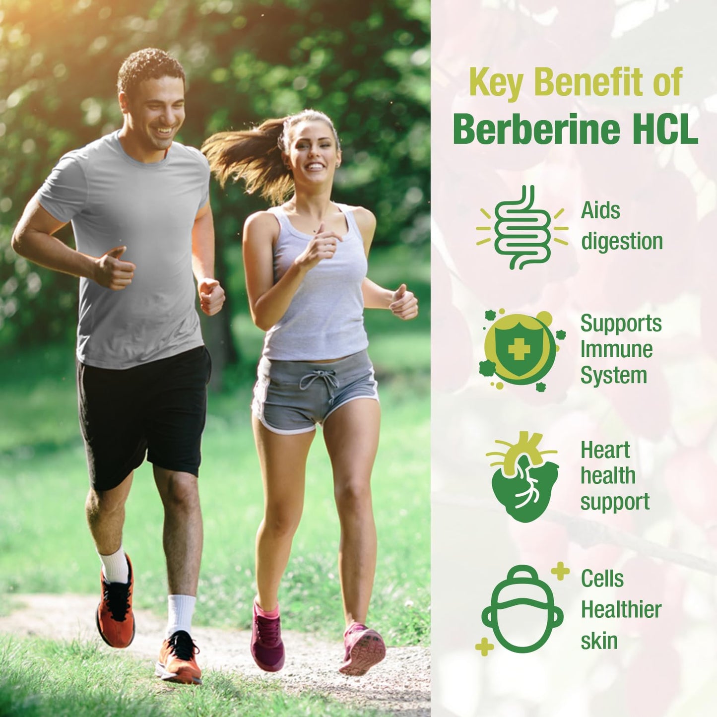 CHANUBITO Berberine 1500mg HCl 97% Purity – Premium 2-Pack, Non-GMO Vegan