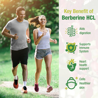 CHANUBITO Berberine 1500mg HCl 97% Purity – Premium 2-Pack, Non-GMO Vegan