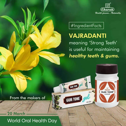 Charak Gum Tone Powder 40g – Gum Care Powder
