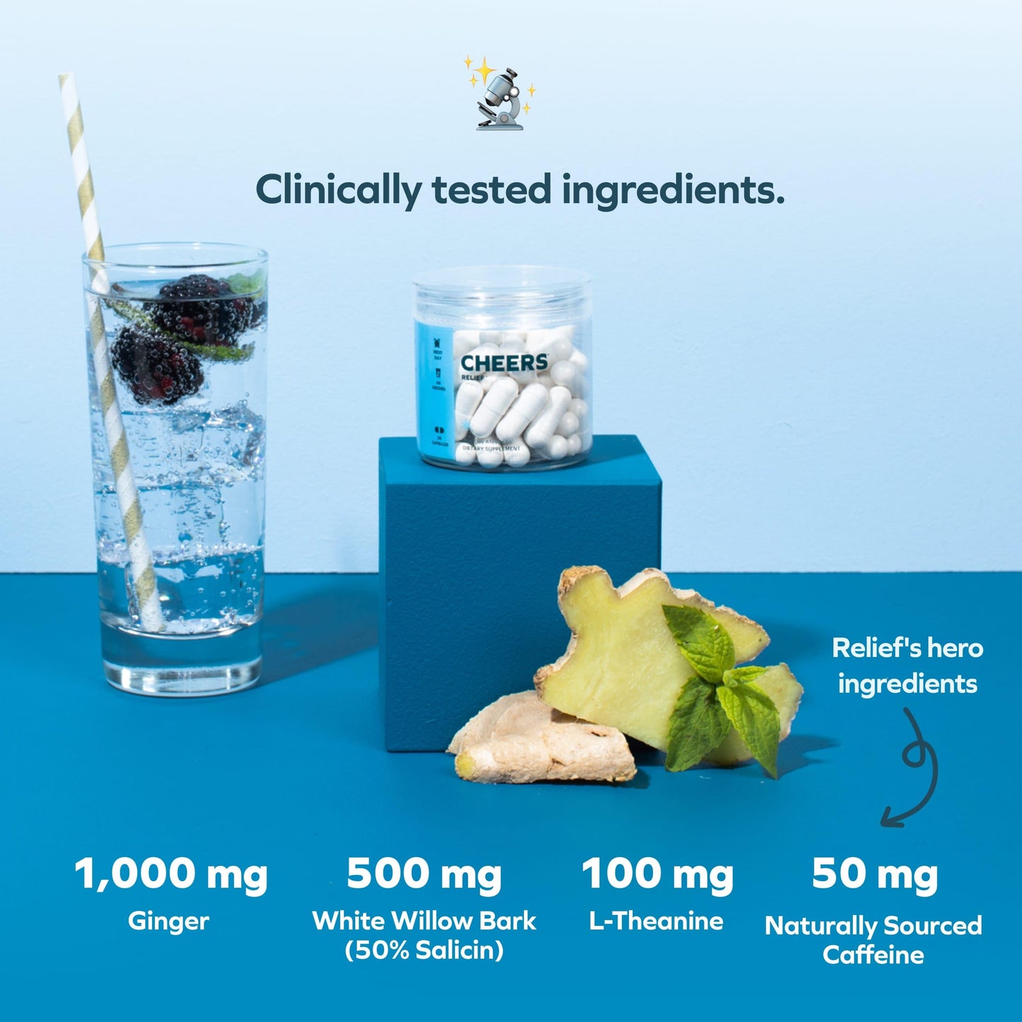 Cheers Relief – Next Morning Aid with Ginger, Willow Bark, L-Theanine & Caffeine | 12 Doses