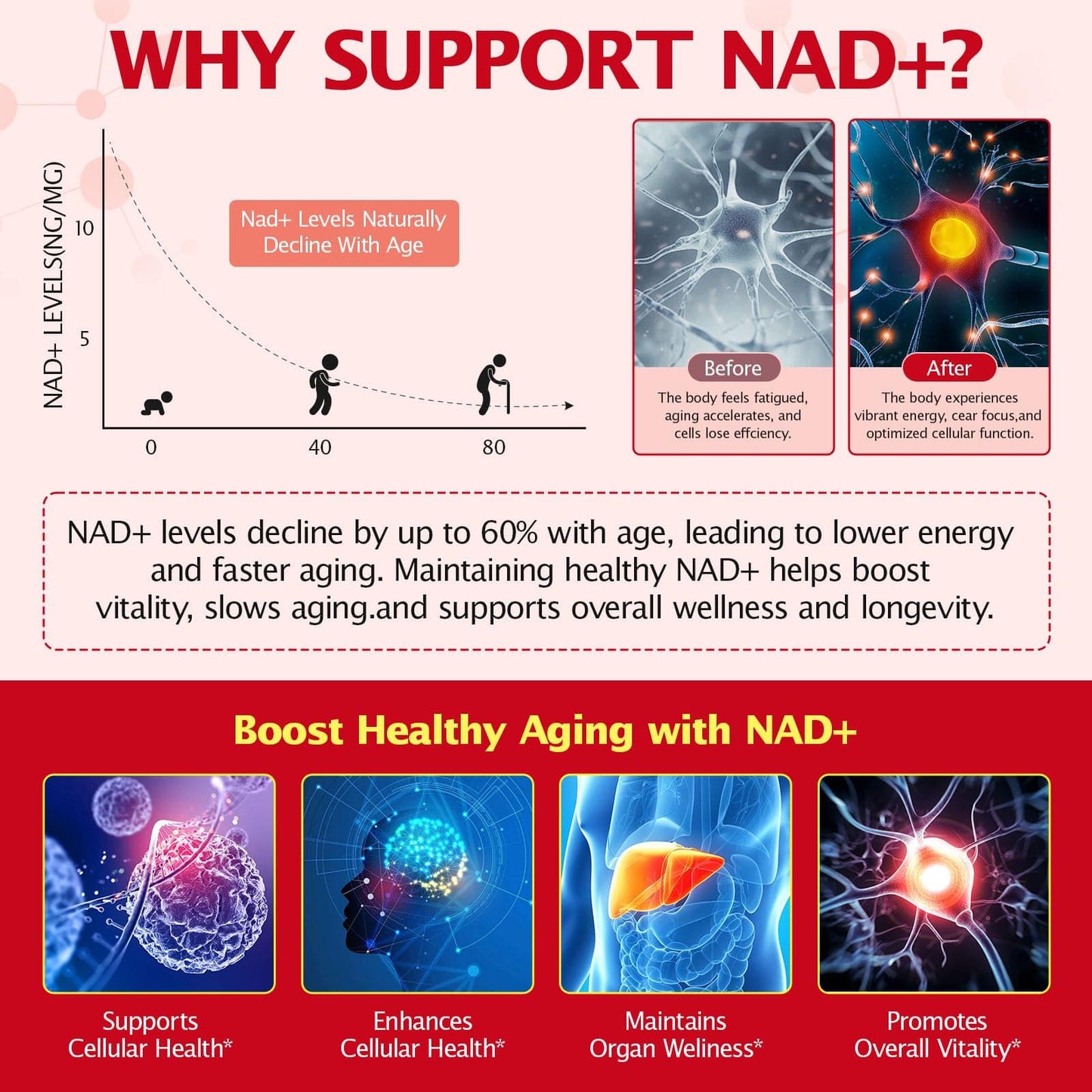 Chenyayun 1000MG Liposomal NAD+ Liquid with Resveratrol & Quercetin – Cellular Longevity, Anti-Aging, Energy | 21 Packets