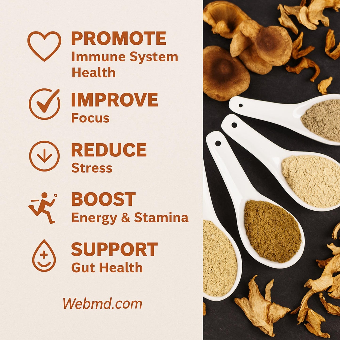 Cherie Sweet Heart 7 Mushroom Extract Powder – Organic Superfood