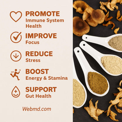 Cherie Sweet Heart 7 Mushroom Extract Powder – Organic Superfood