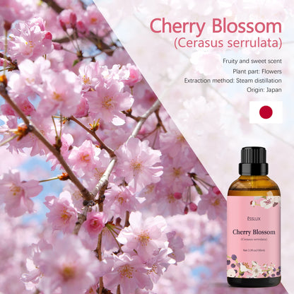 Cherry Blossom Essential Oil 100ml | ESSLUX Aromatherapy Oils