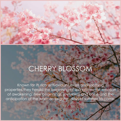 Cherry Blossom Essential Oil 120ml (4 Fl Oz) | SALKING Pure & Natural Fragrance Oils for Diffuser, Soap, Candle Making, Perfume