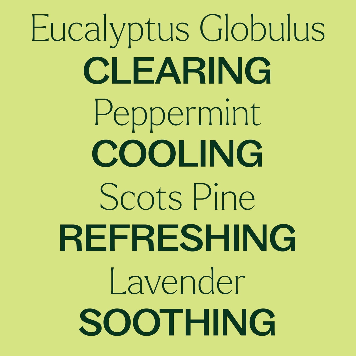 Plant Therapy Respir Aid Essential Oil Blend 10 mL – Sinus, Airway & Congestion Relief (Therapeutic Grade)