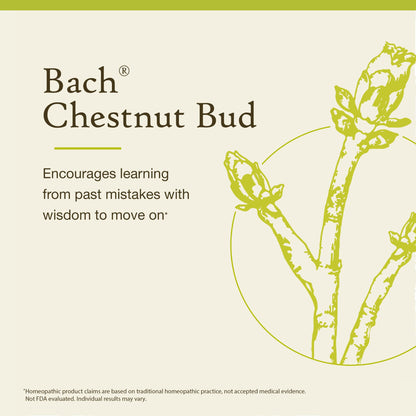 Chestnut Bud Non-Alcohol Flower Remedy – Bach Original | Learn From Mistakes | 10mL Dropper