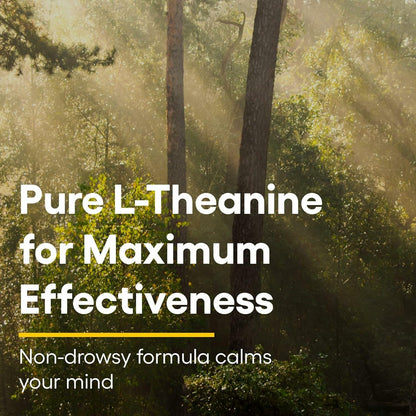 Natural Factors Suntheanine L-Theanine 100 mg – Calm Outlook & Sleep Support | 60 Chewable Tablets