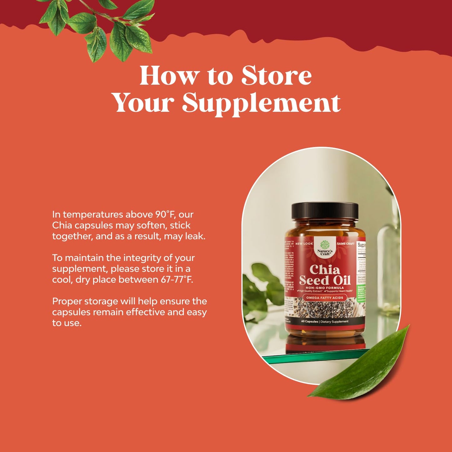 Chia Seed Oil Capsules – Plant-Based Omega 3-6-9 for Heart Health & Digestive Support