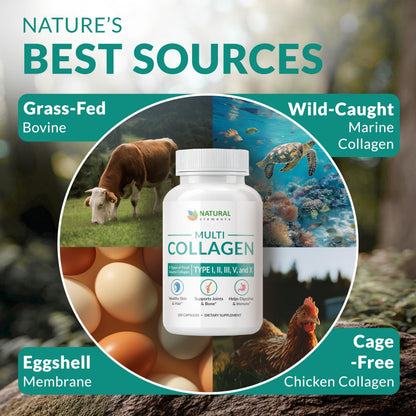 Multi Collagen 180 Capsules – Type I II III IV V X – 2025mg per Serving