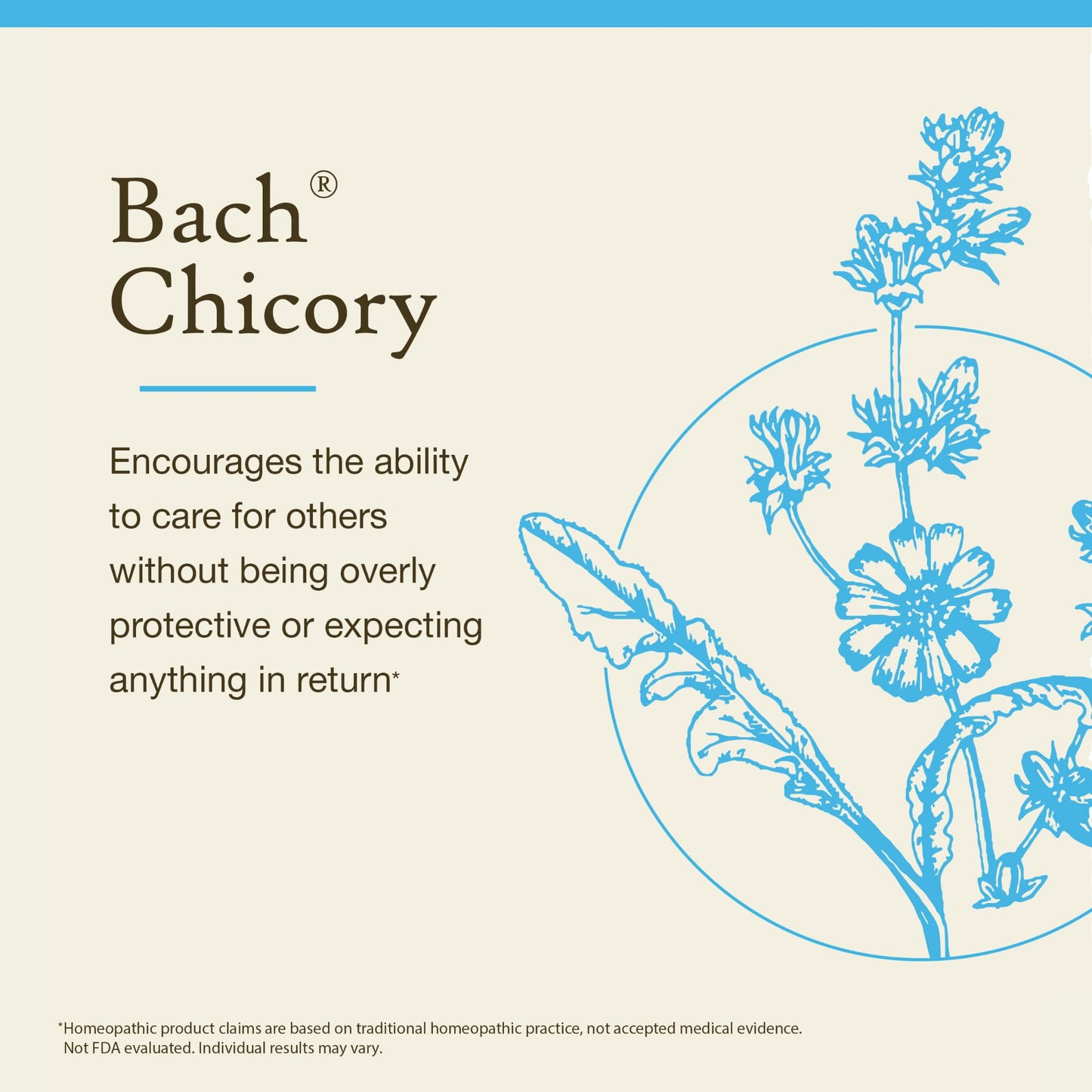Bach Original Flower Remedies Chicory – Love Unconditionally | 20mL Dropper
