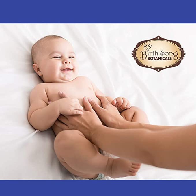 Birth Song Botanicals Children's Immune Tincture - Organic 1oz