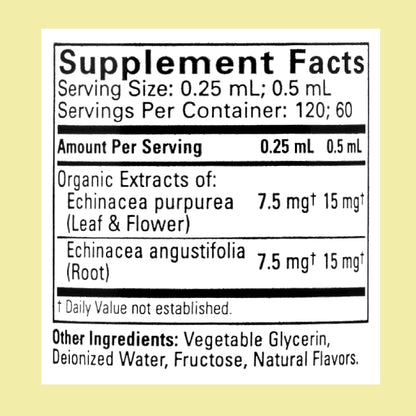 CHILDLIFE ESSENTIALS Echinacea for Kids – Alcohol-Free Immune Drops (Babies–Teens)